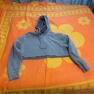 Wild Fable Heather Gray Cropped Hoodie